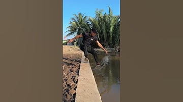 chuồn chuồn đạp nước