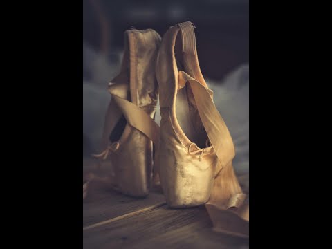마녀의 춤사위 - dodog