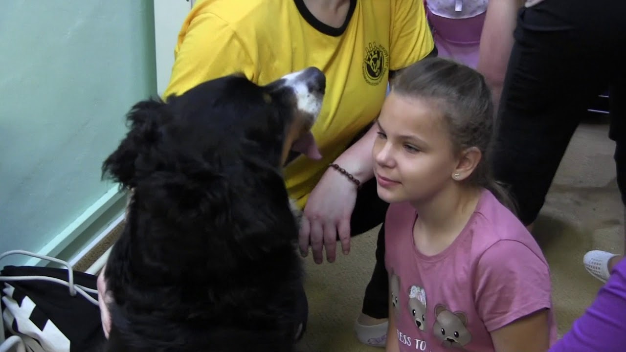 Speciální základní škola a střední škola Svitavy