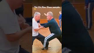Tai Chi Rou Shou sampler