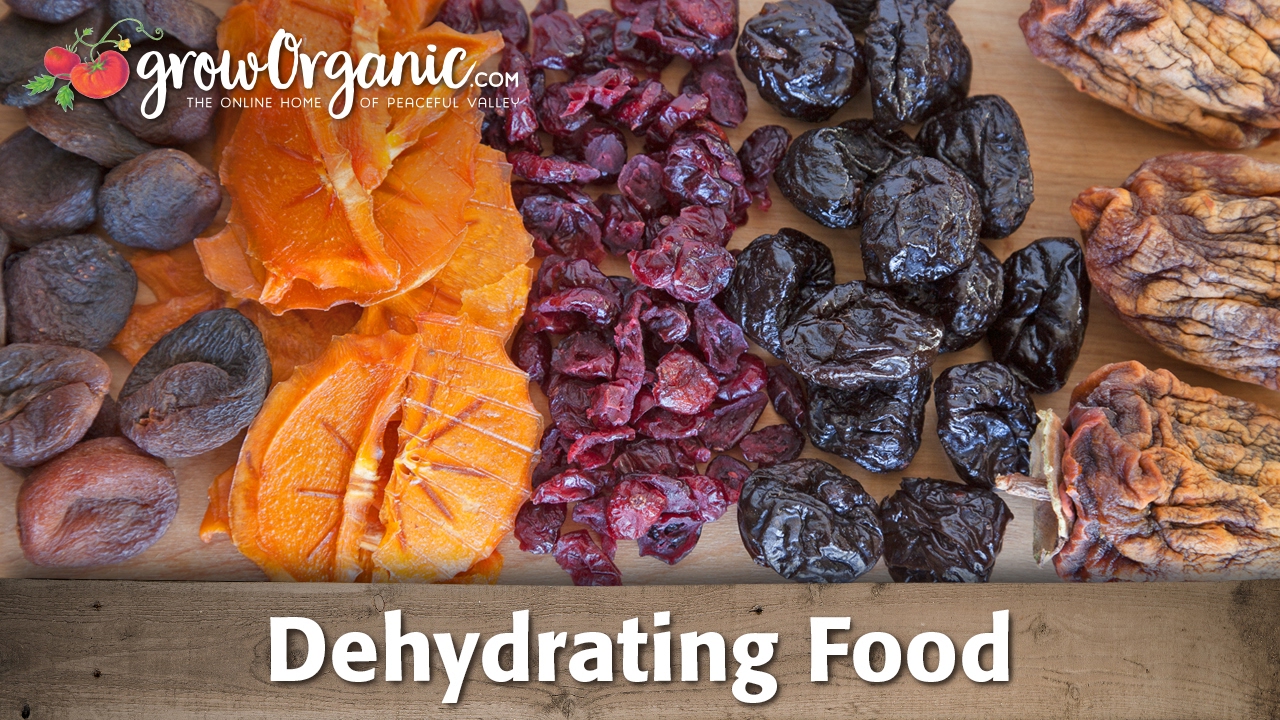 How to Dehydrate and Preserve Organic Fruit 