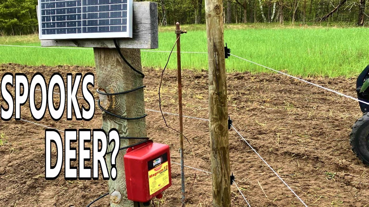 View of Should You Use an Electric Fence on Your Foodplot? - YouTube
