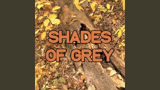 Shades Of Grey - Tribute to Oliver Heldens & Shaun Frank and Delaney Jane