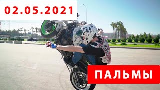 Тренировка стантрайдеров  2 мая 2021 (Пальмы)