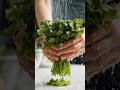 Top Secret Amazing 5 Kitchen Hacks You Need to Know! 🤯🔥 |Smart Kitchen Tips & Tricks