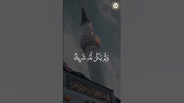 سورة الفرقان قارئ الشيخ / محمد أيوب
