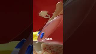 Ear Tube Placement Tympanostomy Tubes 3D Animation