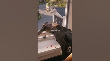 First Easter Egg In Dead Island 2 and its Sad!