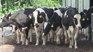 ECO FARM INTRODUCTORY VIDEO