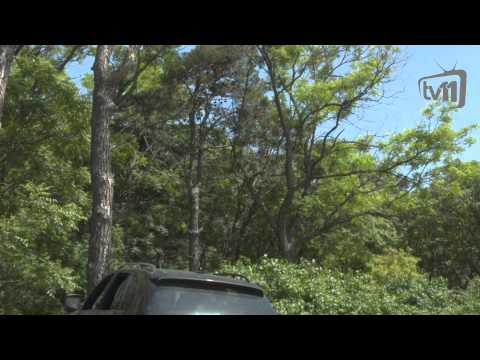 ქართველი ვაჟკაცი - რომანი აქვს