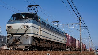 2023/1/8 3075レ EF66-124+コキ