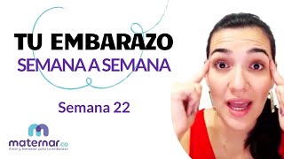 Semana 22 | Tu embarazo semana a semana | Maternar.co screenshot 5