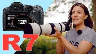 Wildlife Photography Tutorial with the Canon R7!