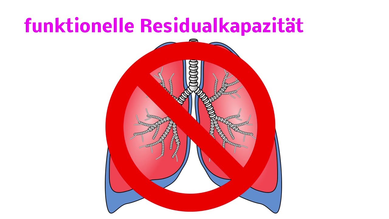 Die Lungenvolumina! Für die Beatmung - YouTube
