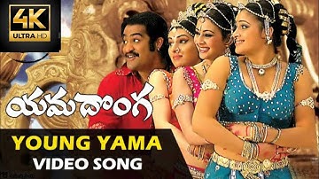 Young Yama 4k Video Song || Yama Donga || Jr. NTR || Priyamani || SS Rajamouli || MM Keeravaani ||