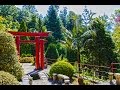 Tropical Garden Monte Palace ( Madeira )