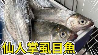 新鮮的台南虱目魚處理技巧挑戰! 這次料理虱目魚肚粥，炸虱目魚 ... 