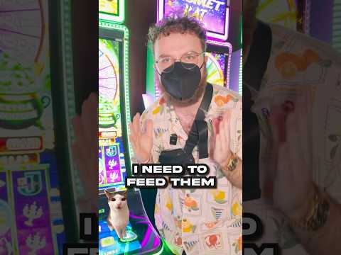 Experience the Thrill of Casino Kats: Play Online in English, Designed for UK Players