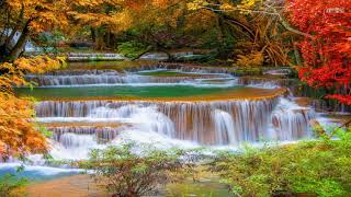 Top 70 Beautiful Autumn Waterfall in the World