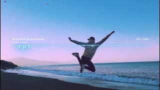 Scandinavianz - Happy Days (Out Now) 🎶🎸 #acousticguitar #royaltyfreemusic  #freemusic