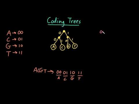 Advanced Data Structures: Coding Trees