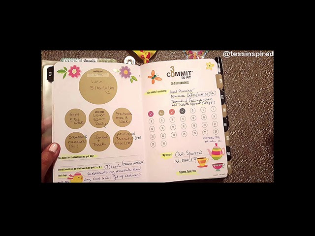 Commit 30 Planner Review – Grounding Fitness