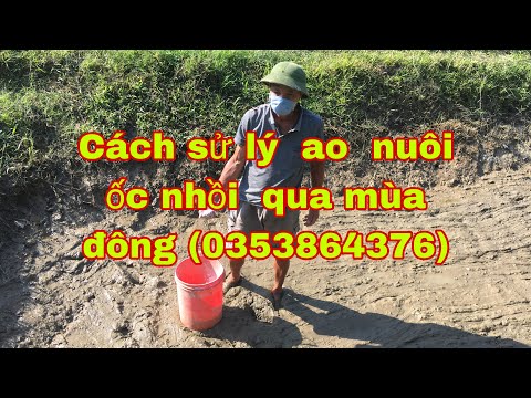 Video: 3 cách để theo dõi dấu vết động vật