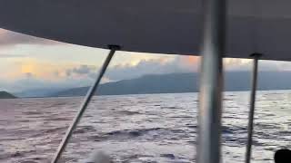 Believe What I Say snippet