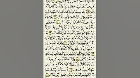 سورة طه من الآية ١٢٦ إلى الآية ١٣٥بصوت القارئ ماهر المعيقلي
