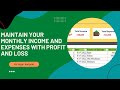 How To Maintain Income &amp; Expenses With Profit and Loss In Excel | Excel Work | Advanced Excel