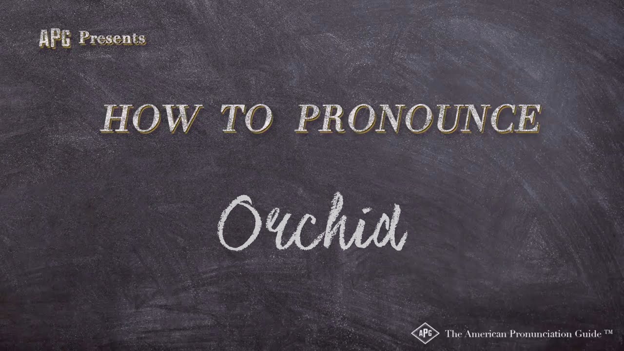 How To Pronounce Orchid (Real Life Examples!)