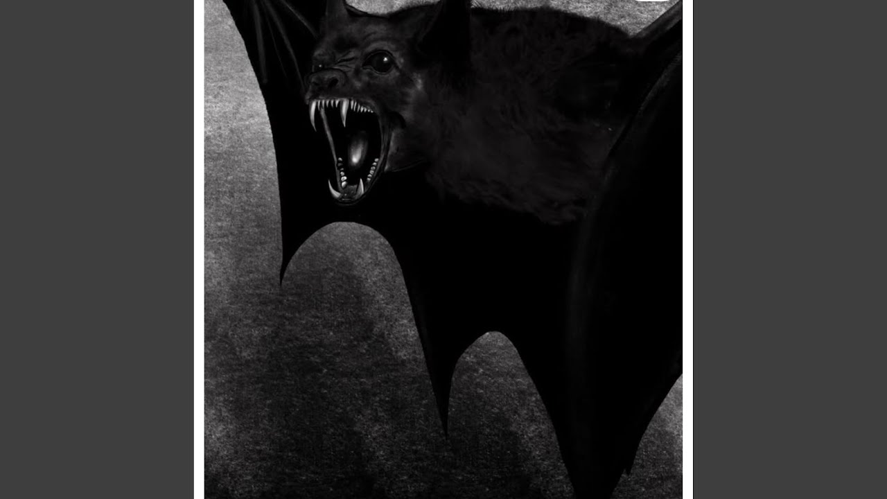 Watch Bats out on YouTube Watch Bats out on YouTube
