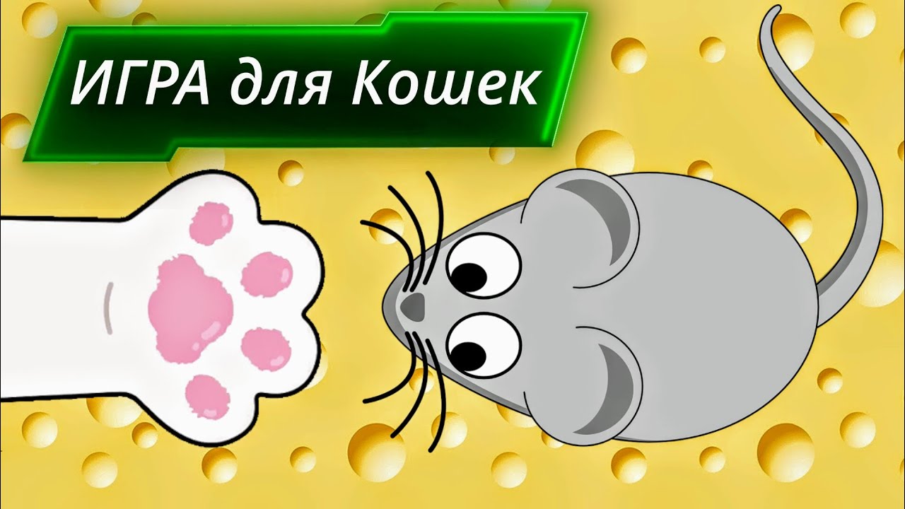 Игра мышка бегает по экрану для кошек. Мышь бегает по экрану для кошек. Игра для кошки бегающая мышь. Мышка бегающая по экрану для кота. Игра для кошек мышка бегает.