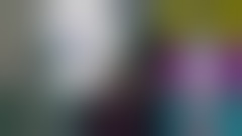 shuric scan Sixpasion V2