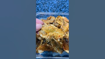 Khô Cá Lù Đù 🐟