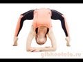 Гимнастика для позвоночника. Прогибы / Gymnastics for the spine