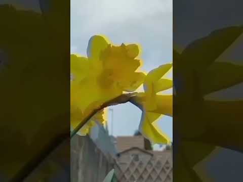 قصة بنت مع الحوقلة ١٠٠٠ مرة يوميا شهريا فقط وحقق الله امنيتها المستحيلة ذكر معجزة من الله الحوقله 