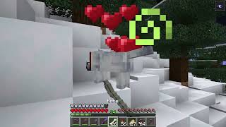 Rarest Wolf breed of them all, the Snowy Wolf, and how I got one - Minecraft 1.21