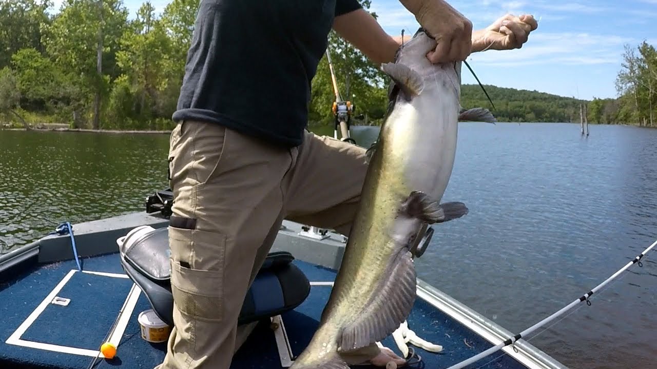 louisiana channel catfish fishing planet louisiana channel catfish fishing planet