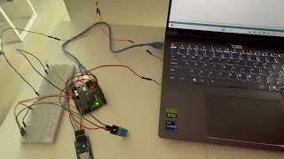 Demo Video for the Microcontroller Project