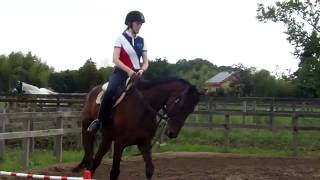 【競馬】第二のストーリー - 元JRA職員の乗馬クラブで暮らすマイネルアワグラス - netkeiba.com