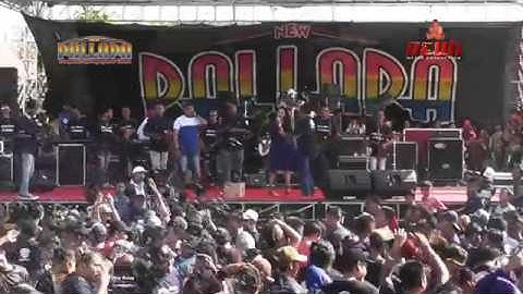 Cincin kawin Ani arlita ft brodin new pallapa 2017