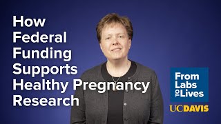How Federal Funding Supports Healthy Pregnancy Research | From Labs to Lives