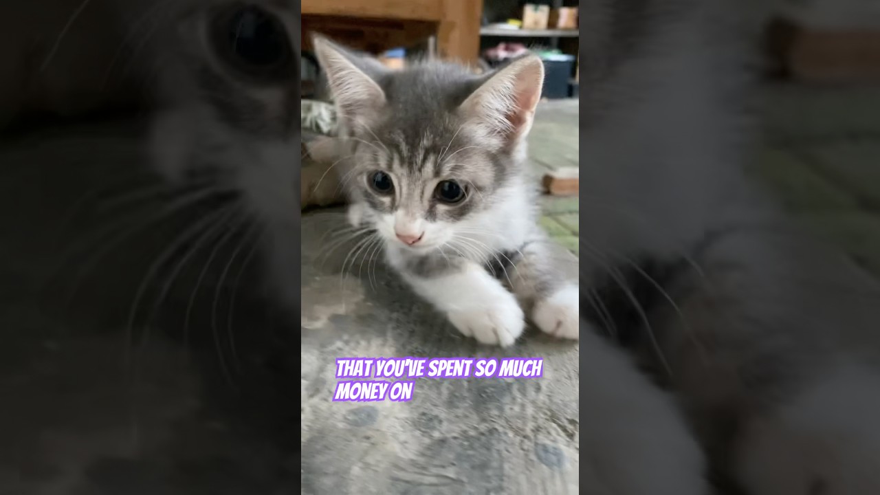 He spent a lot of money! 🤑 