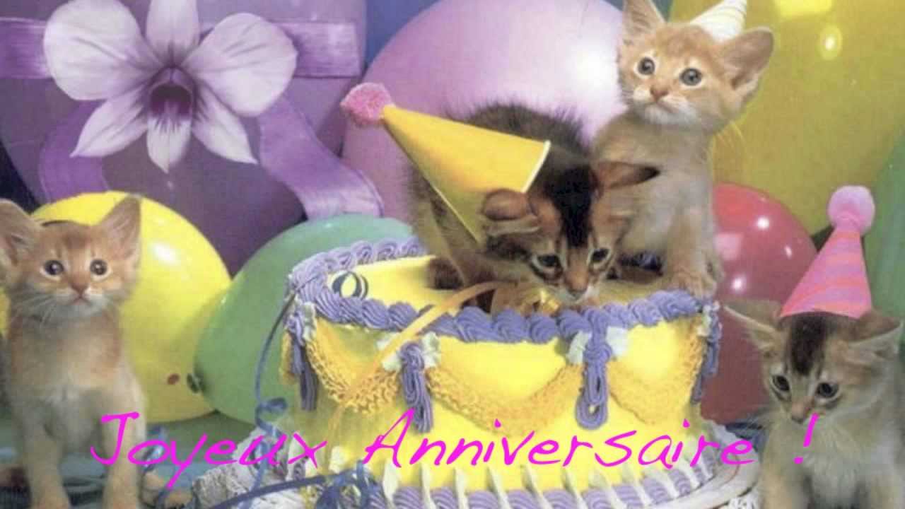 image chat joyeux anniversaire Joyeux Anniversaire Youtube image chat joyeux anniversaire