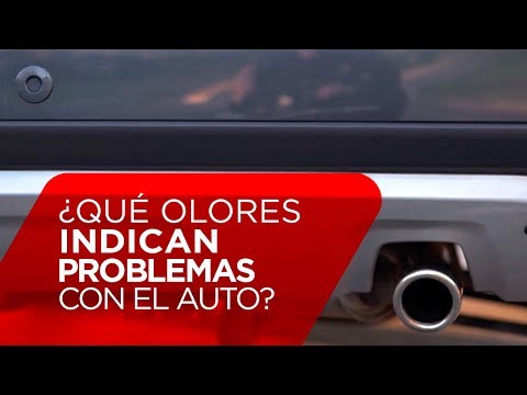 Video: 3 formas de diagnosticar los olores en los automóviles