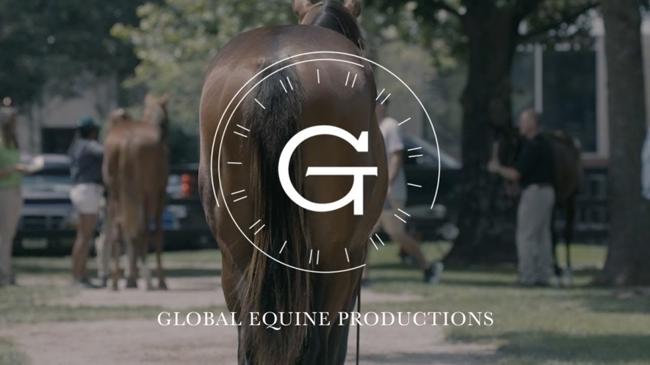 July 10 at Fasig Tipton July Sale Produced by Global Equine