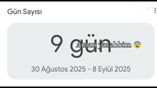 Aman Yarabbim Bay Kemal Çıldırdı