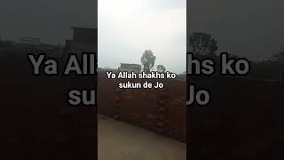 ya Allah#shakhs#ko#sukun De Jo#love #sad #sadida #short video#viral video#Gulfam.Cretar