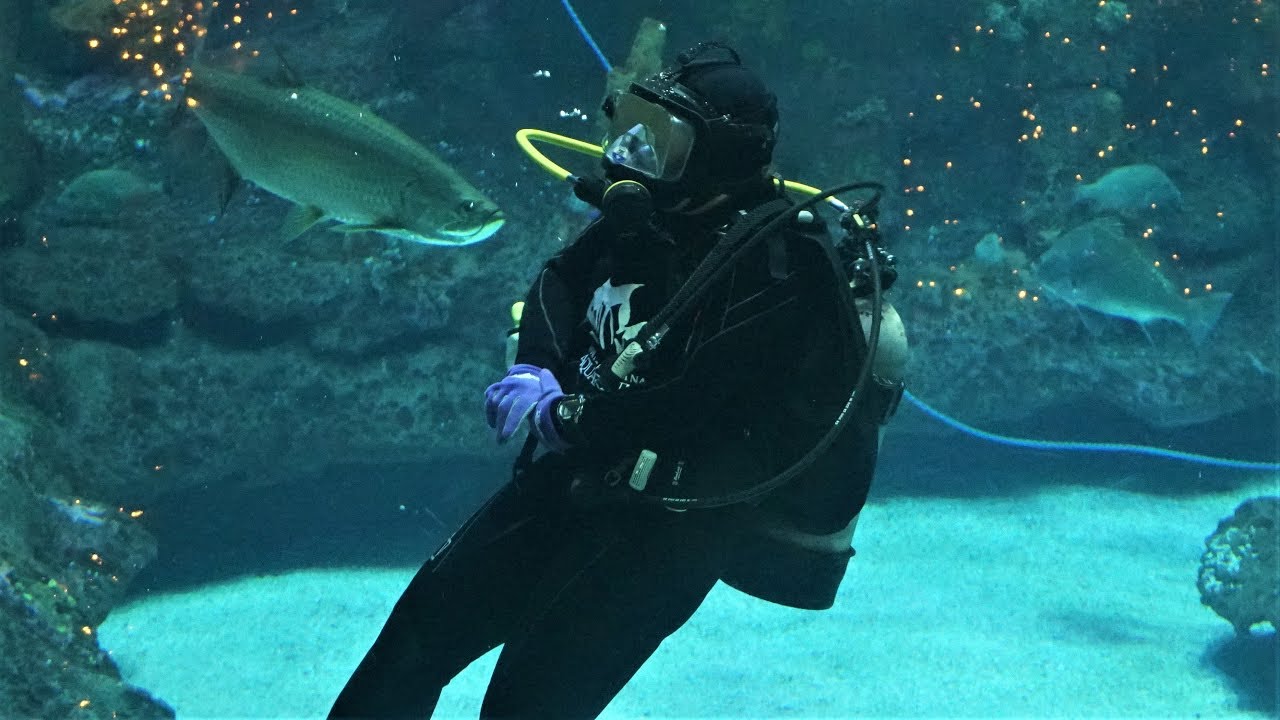 North Carolina Aquarium At Fort Fisher - Kure Beach, Nc